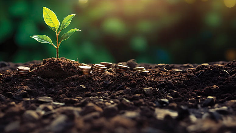 Graphic showing a sapling growing, with some coins tossed around on the soil surrounding the plant